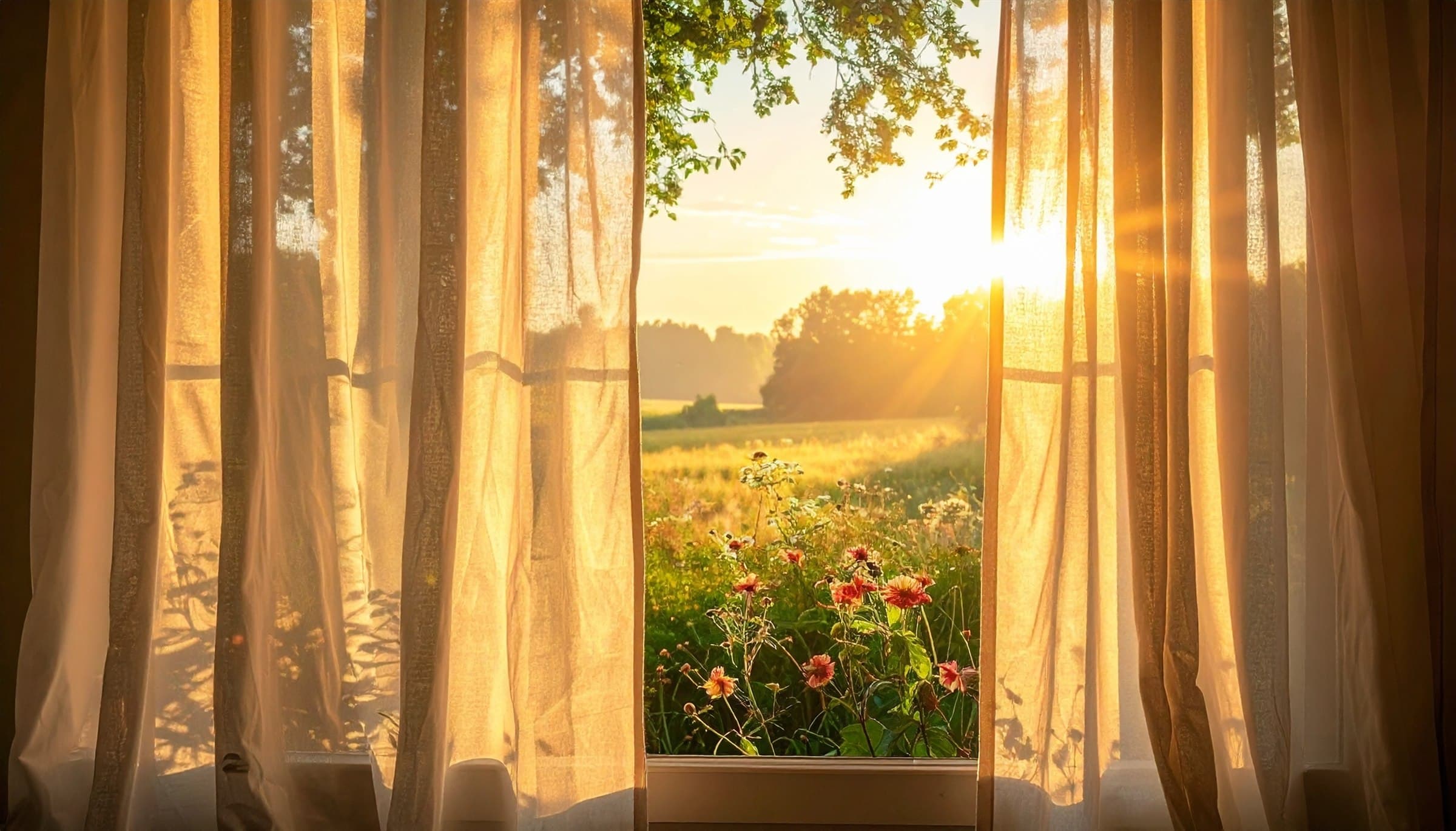 Individual therapy session space with warm natural light